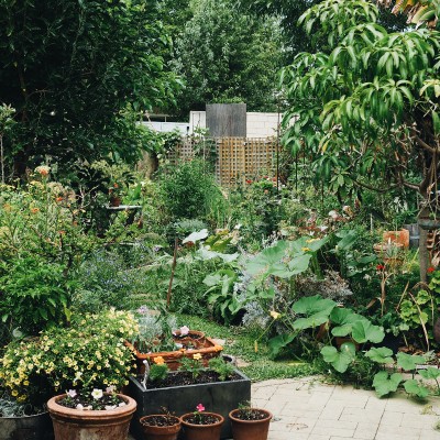 Ask An Expert - Prepping your summer garden