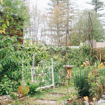 How to Cultivate An Amazing Edible Garden with Perth's Casey Lister