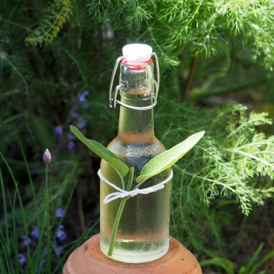 ****TO BE RESCHEDULED**** How to Use Your Edible Garden Botanicals in Cocktails with Corinne Mossati