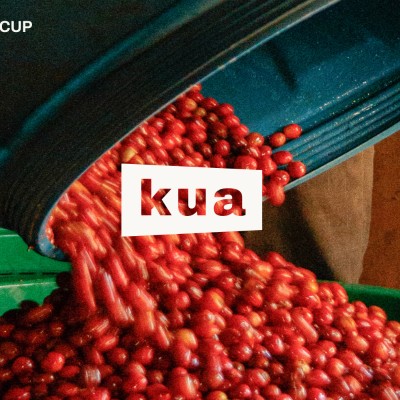 Crop to Cup Workshop: Growing and making coffee in your backyard