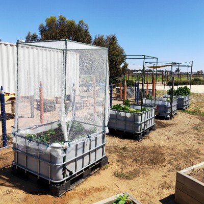 IBC Wicking Beds