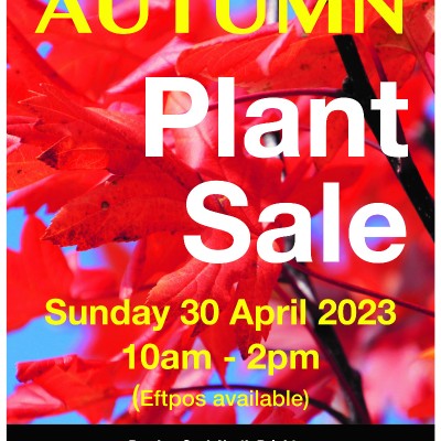 North Brighton Community Garden Autumn Plant Sale