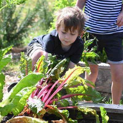 Gardening with Kids Workshop