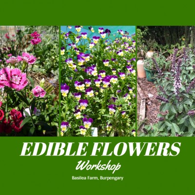 Edible Flower Workshop - 12th Jan 2024