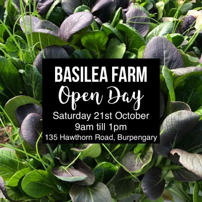 BASILEA FARM OPEN DAY - Saturday 21st October 9am to 1pm