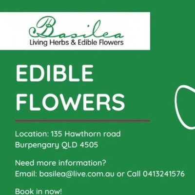 Edible Flowers Workshop 11th December 10am - 3pm