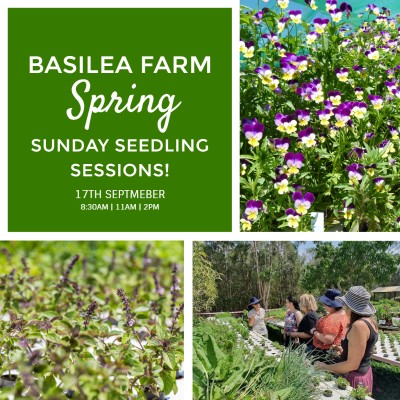 Spring Sunday Seedling Sessions - (3 Session Times)