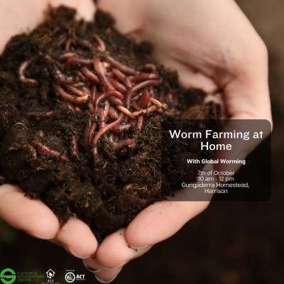 Worm Farming at Home with Global Worming