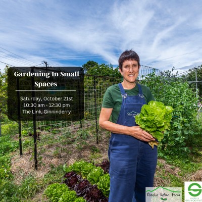 Gardening in Small Spaces with Ainslie Urban Farm