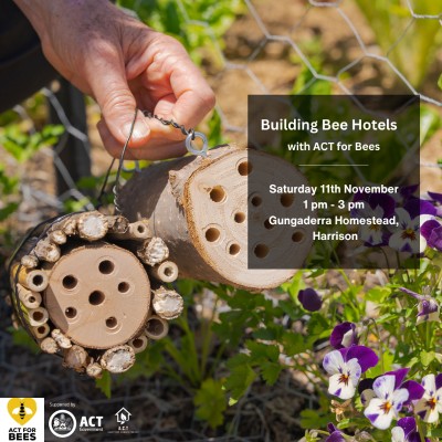 Building Bee Hotels with ACT for Bees