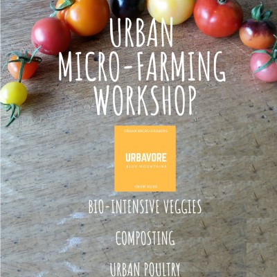Urban Micro-Farming Workshop